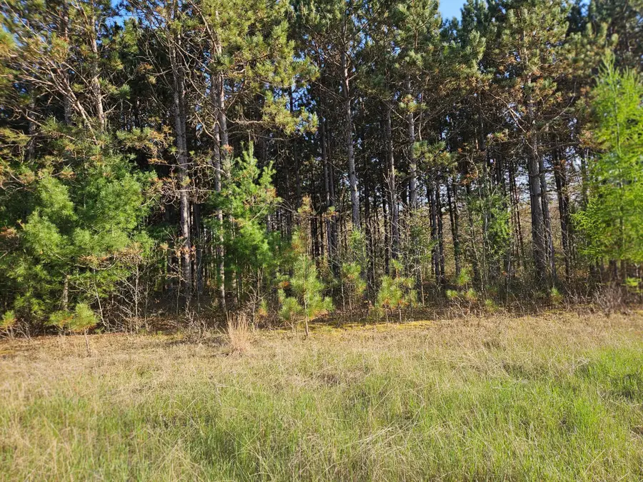 0 990th Avenue, Colfax, WI 54730 - #3