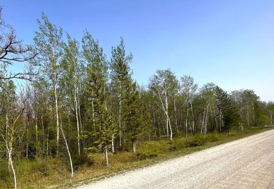 TBD 585th Avenue, Warroad, MN 56763 - #3