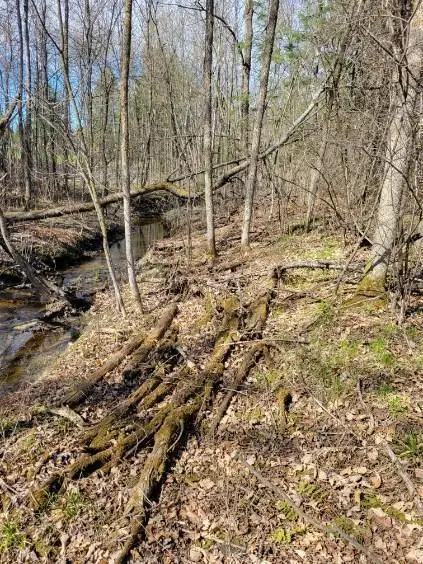 TBD 695th Avenue, Roosevelt, MN 56673 - Image #3