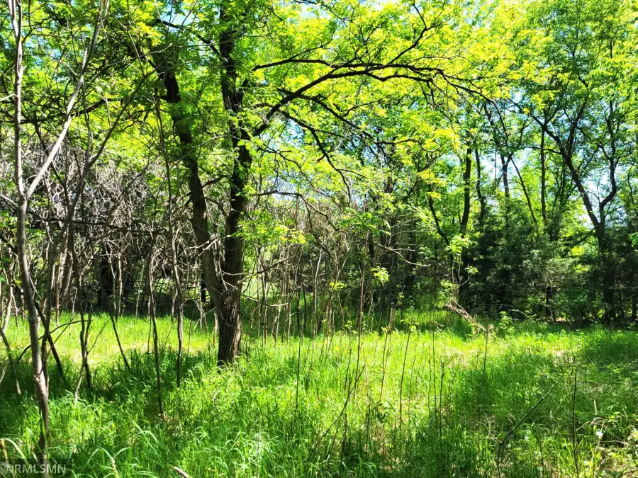 14XXX County Road 44, South Haven, MN 55382 - Image #2