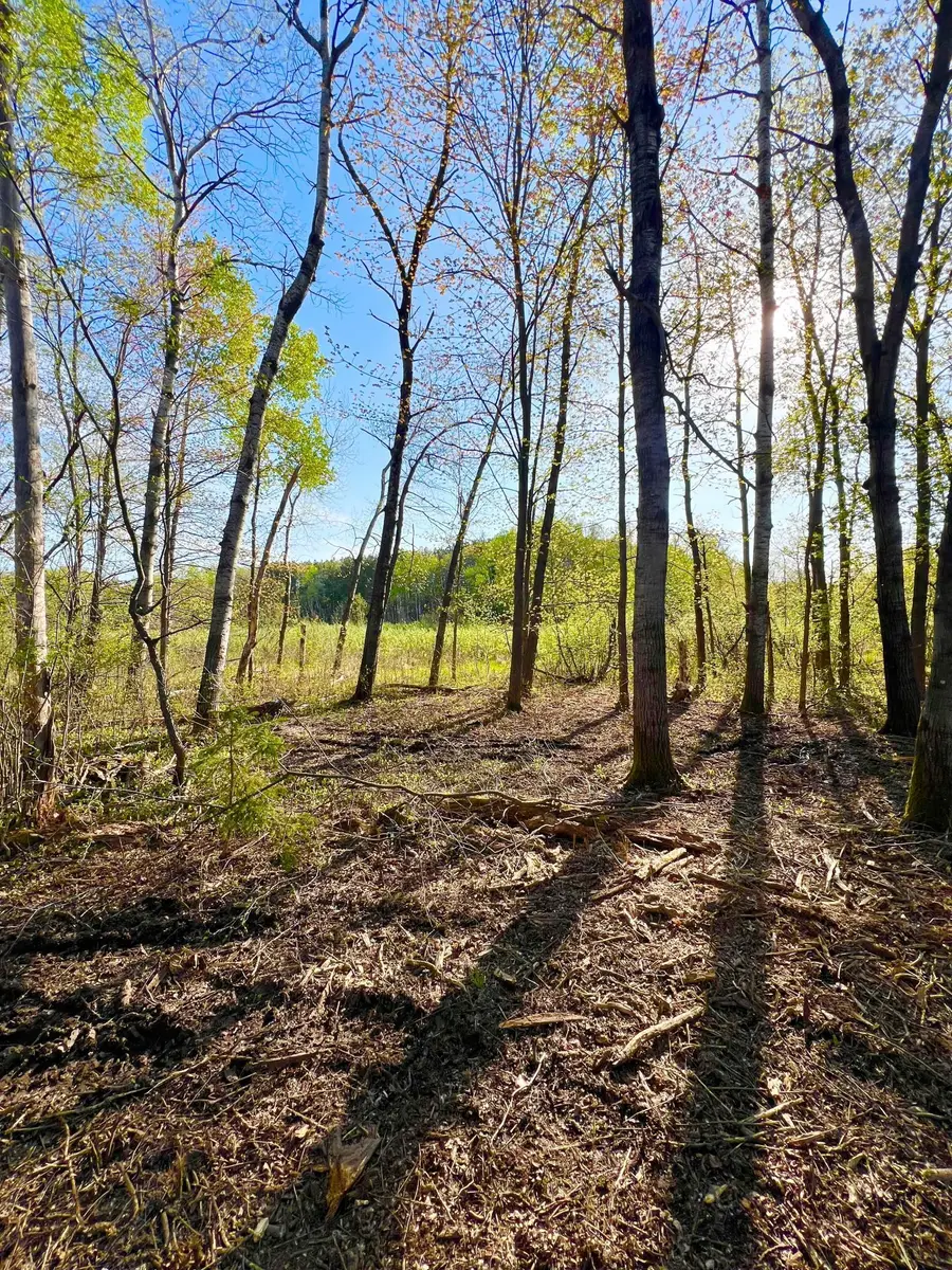 TBD Mallard Place, Sandstone, MN 55072 - Image #2