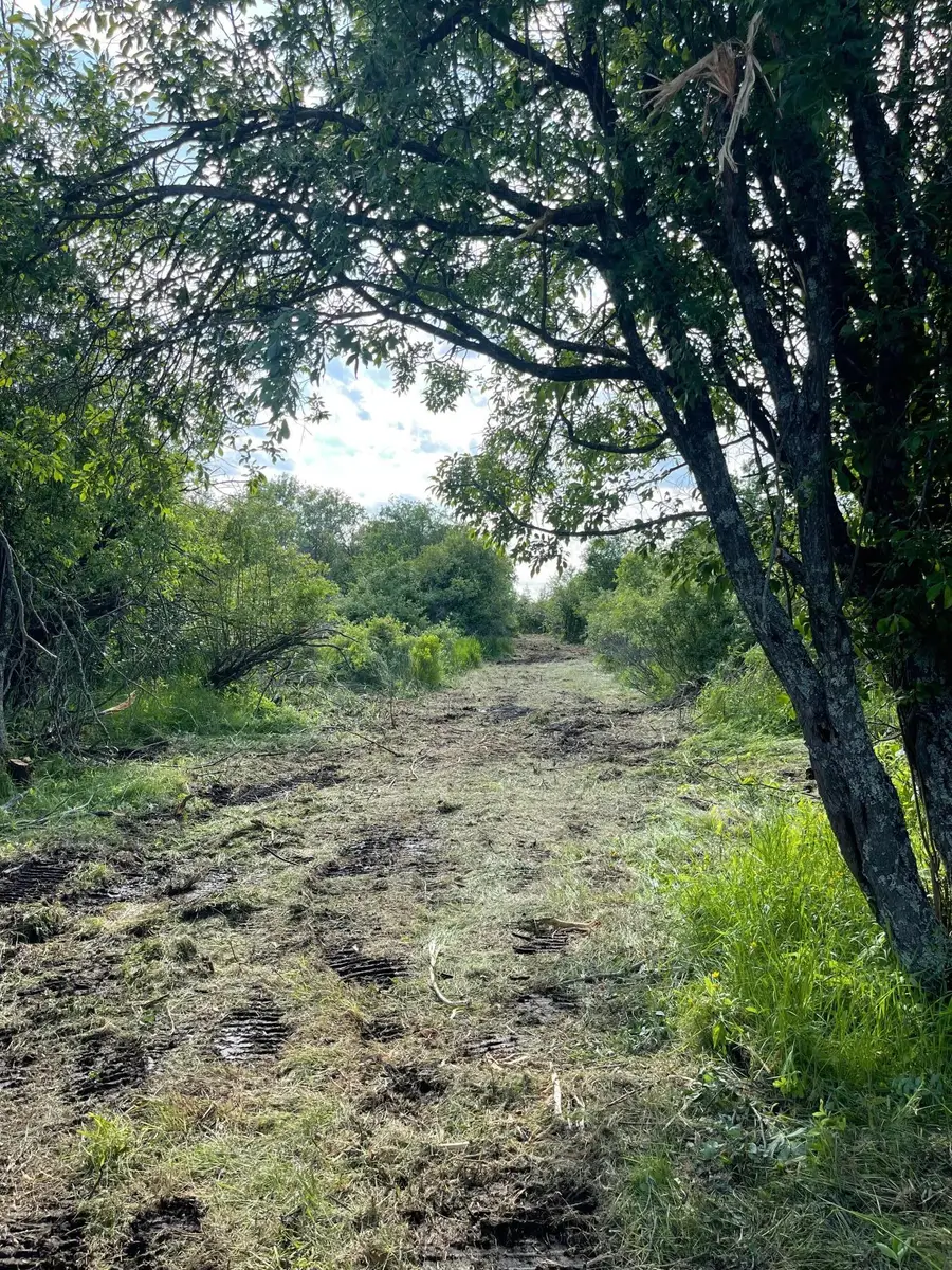 TBD Skog Road, Kettle River, MN 55757 - #2