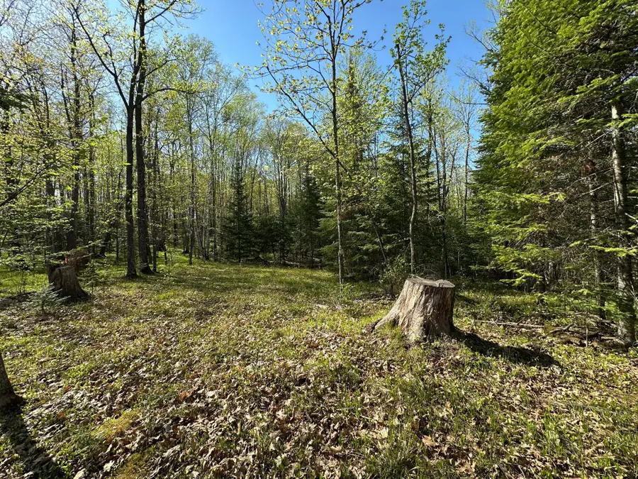 xxx Elm Road, Barnum, MN 55707 - #3