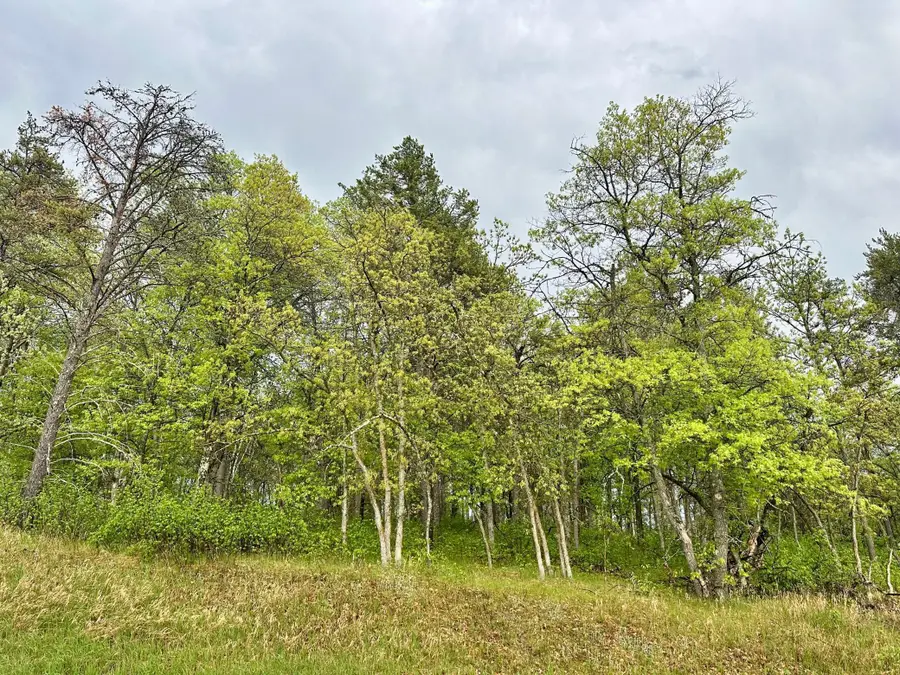 TBD Lot 1 Fairway Trail, Park Rapids, MN 56470 - #2