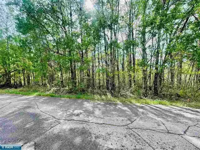 TBD 3rd St, Hibbing, MN 55746 - #3