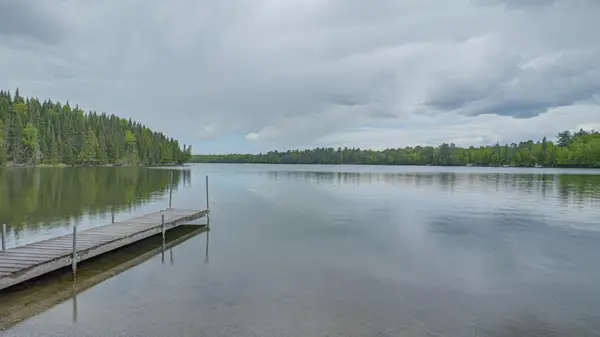 53549 Little Bear Trail, Bigfork, MN 56657