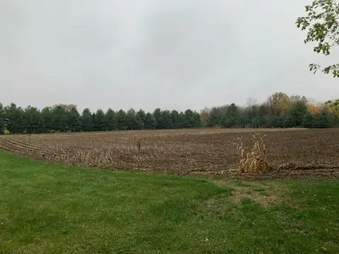 TBD Harrison Avenue Ne, Racine, MN 55967 - Image #1