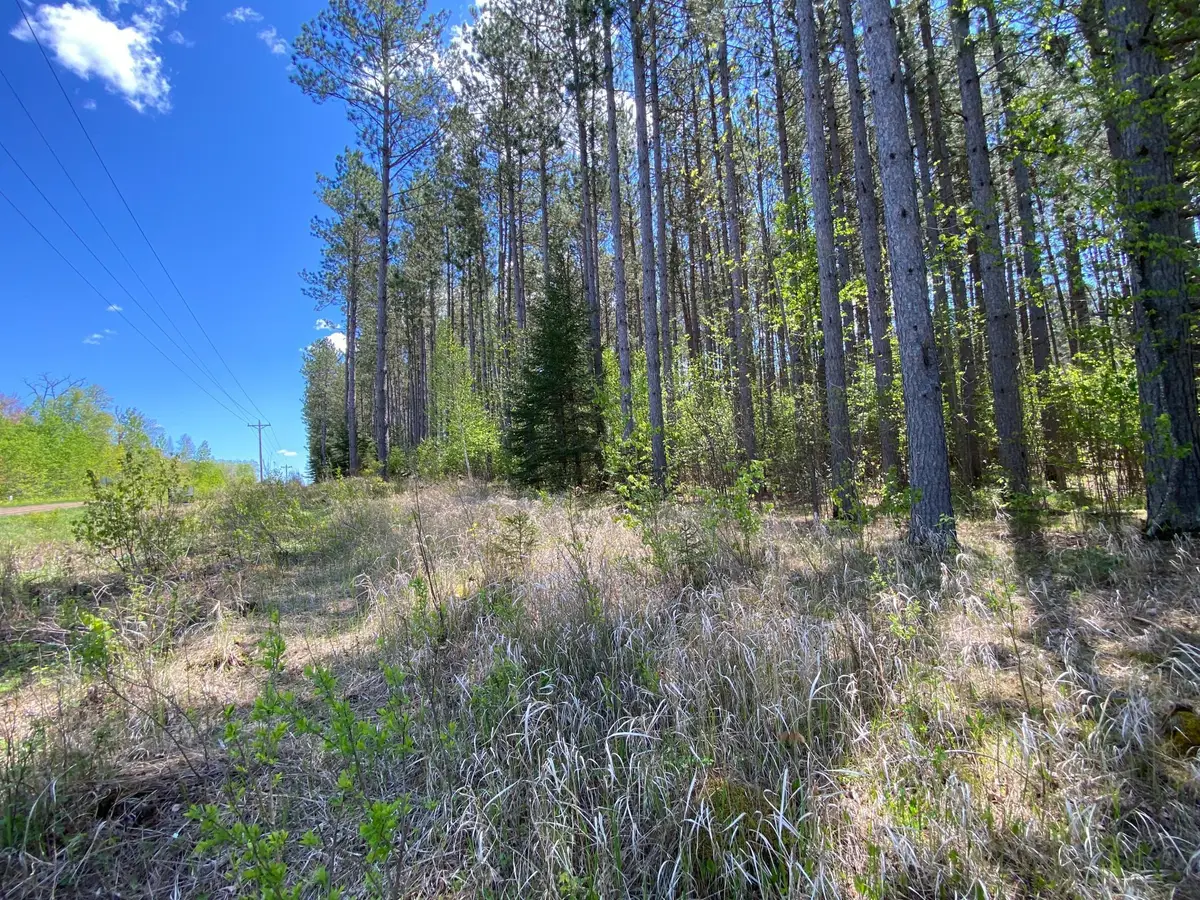 XXXX Minkkinen Rd, Kettle River, MN 55757 - #1