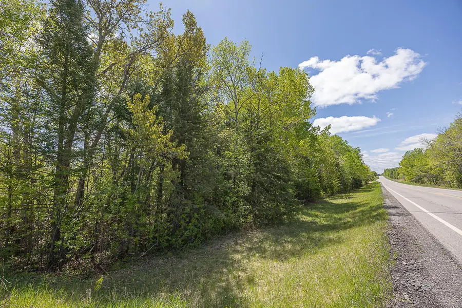 TBD State Hwy 6, Remer, MN 56672 - #2