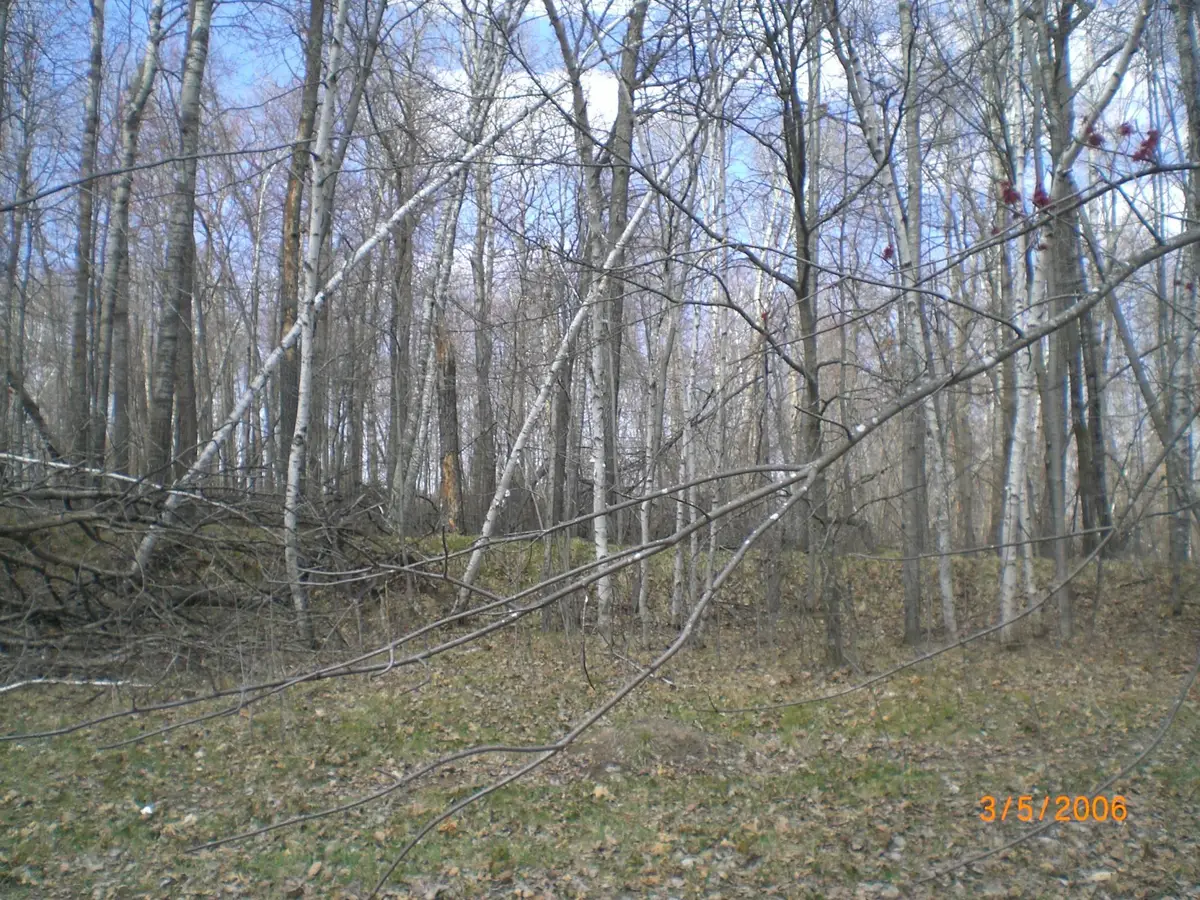 Lot 211 Catskill Circle, Breezy Point, MN 56472 - #1