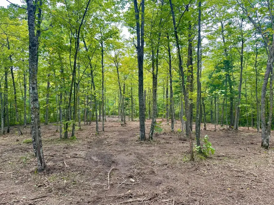 TBD County Road 157 Ne, Remer, MN 56672 - #2