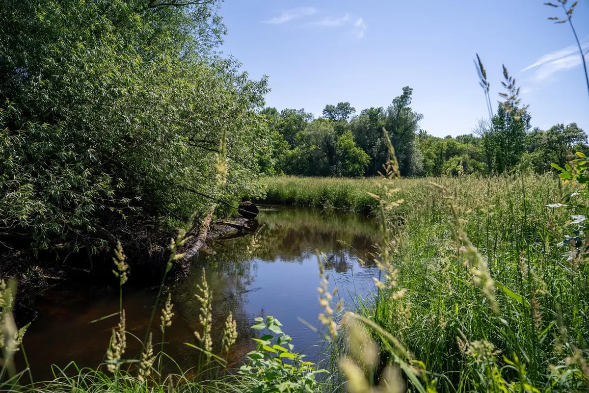 TBD 6th Street, Randall, MN 56475 - #1