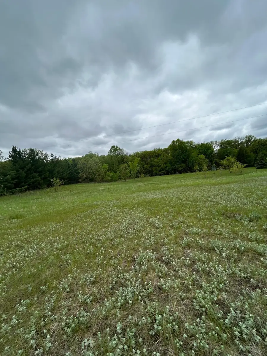 XXX Calico Trail, Motley, MN 56466 - #2