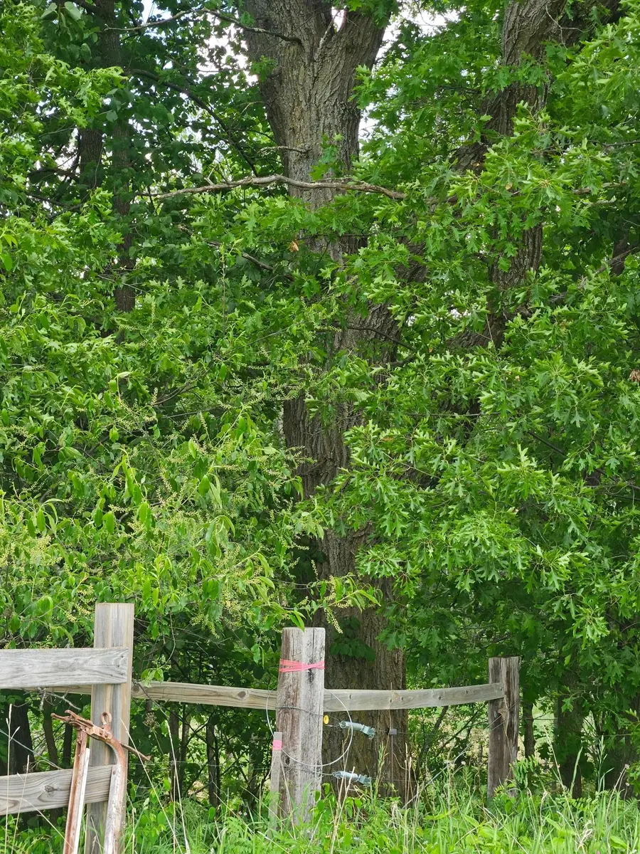 Parcel E Rogue Way, Ironton, MN 56455 - #2