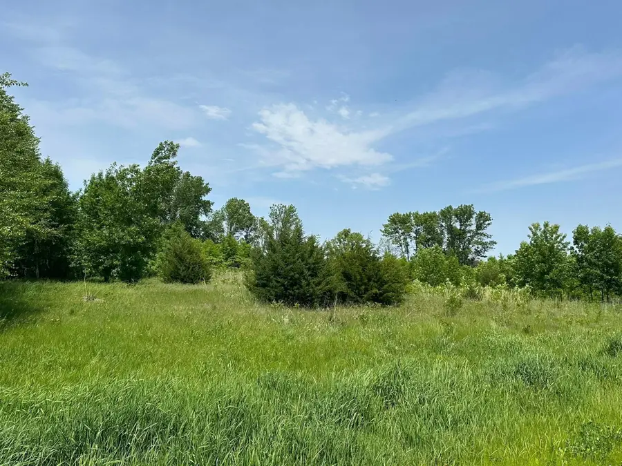 29036 Biehn Drive, Madison Lake, MN 56063 - Image #2