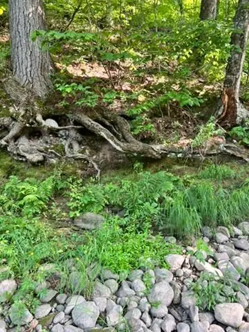 28xxx 89th Avenue, Boyd, WI 54726 - #2