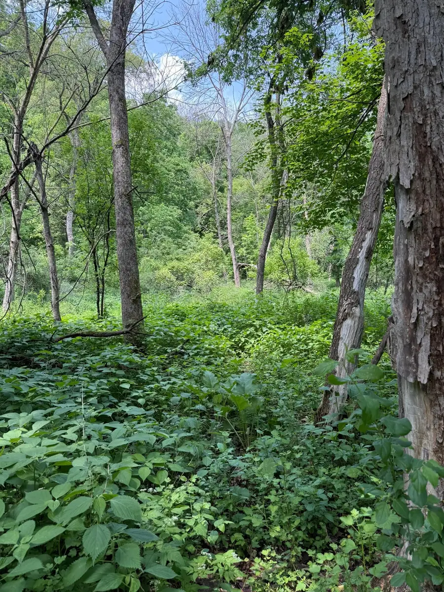 TBD Quiet Way, Welch, MN 55089 - Image #2