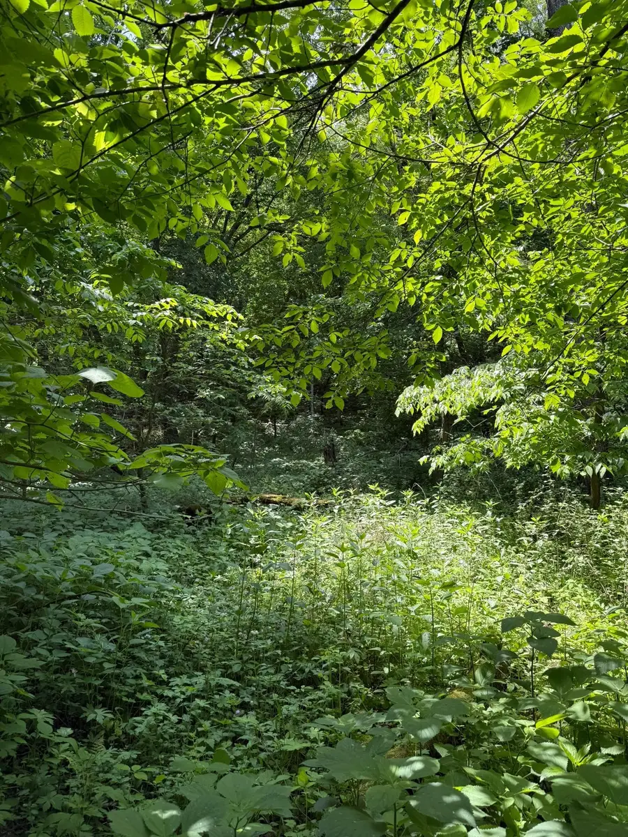 TBD Quiet Way, Welch, MN 55089 - Image #3