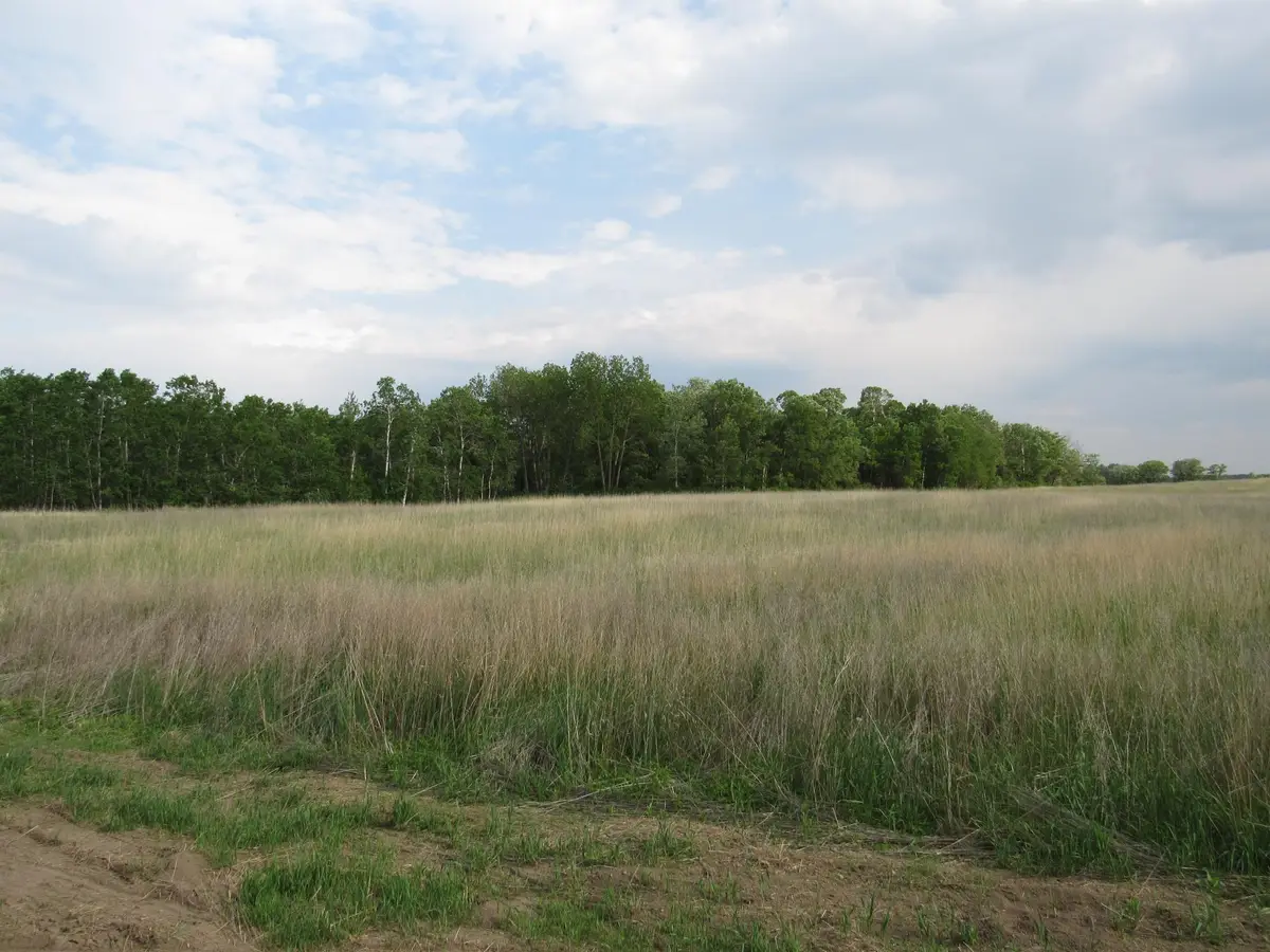 TBD 12th Street Sw, Backus, MN 56435 - #1
