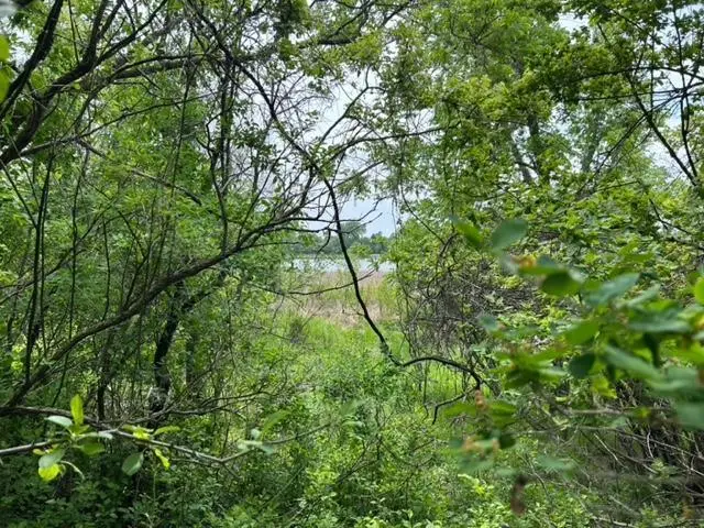 TBD Highway 28/29, Glenwood, MN 56334 - Image #2