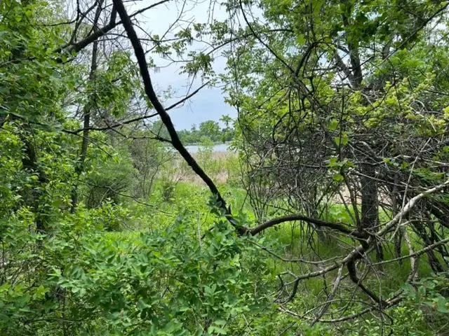 TBD Highway 28/29, Glenwood, MN 56334 - Image #3