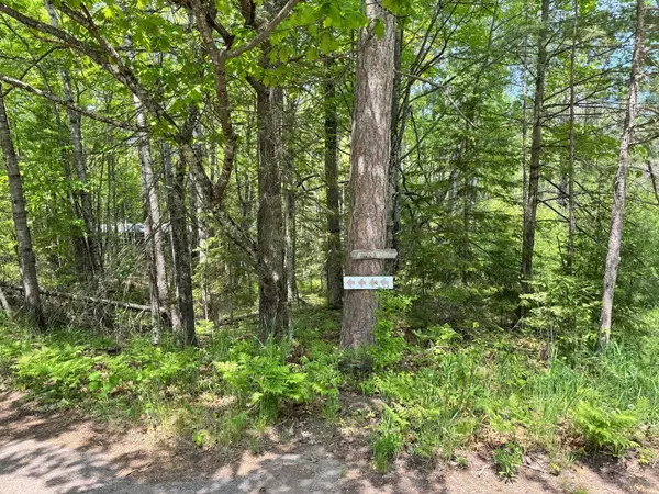 438 Minnewawa Drive, La Pointe, WI 54850