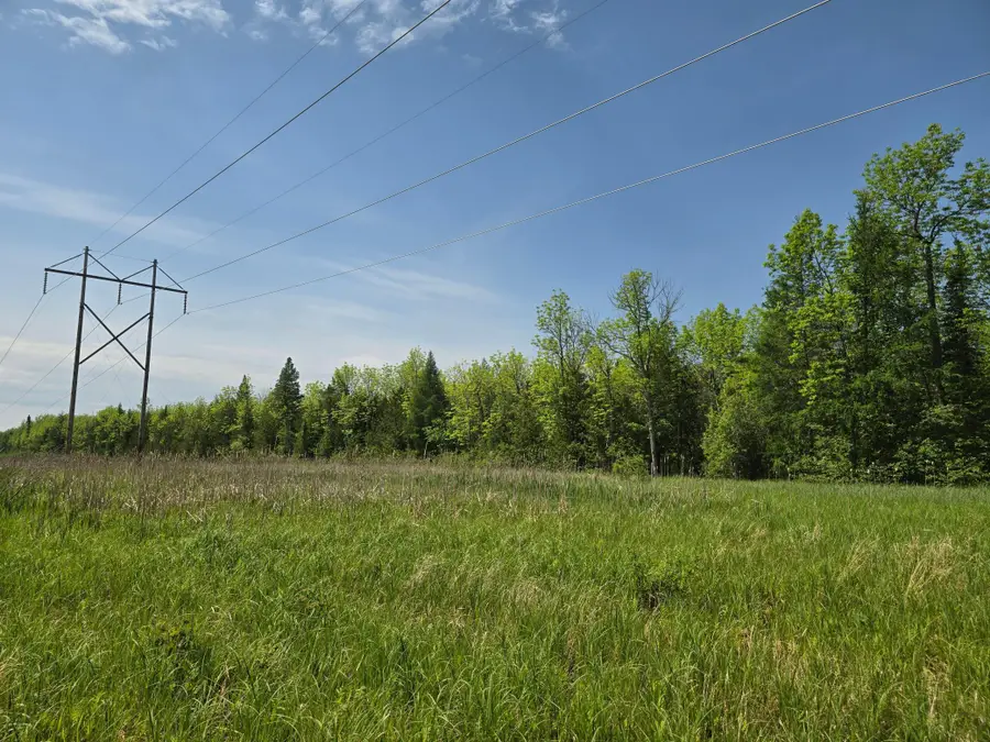 TBD Town Road 166, Littlefork, MN 56653 - Image #2