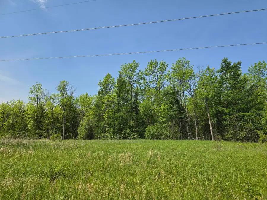 TBD Town Road 166, Littlefork, MN 56653 - Image #3