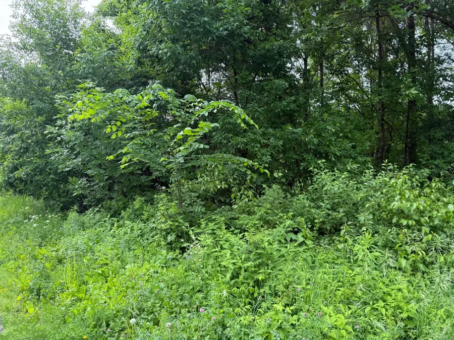 17001 Elmore Avenue, Faribault, MN 55021 - Image #3