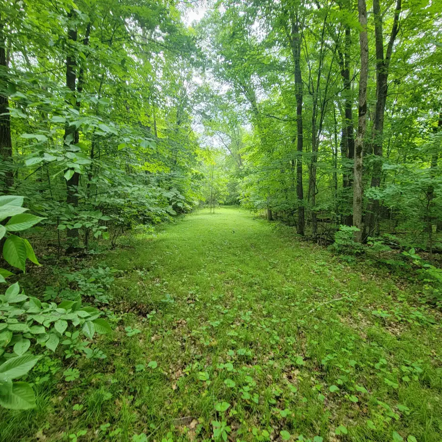 TBD 355th Street, Richville, MN 56576 - Image #3