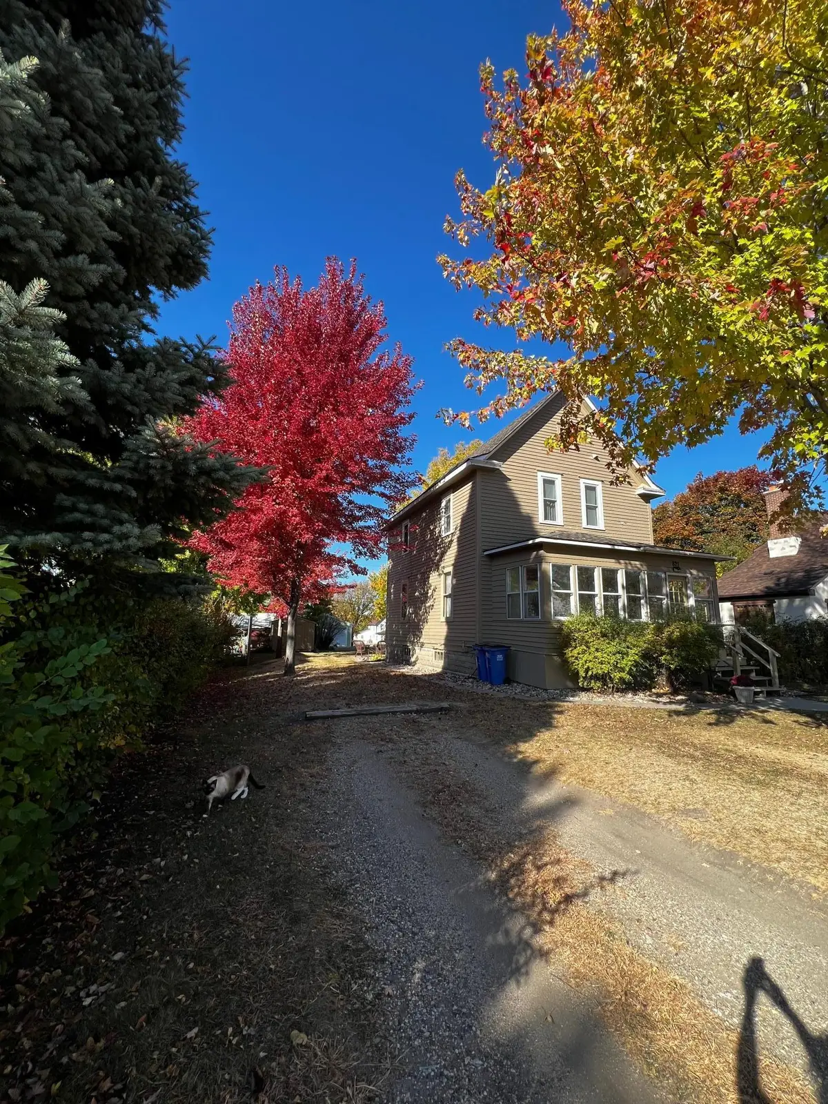 821 3rd Avenue, Madison, MN 56256 - #1