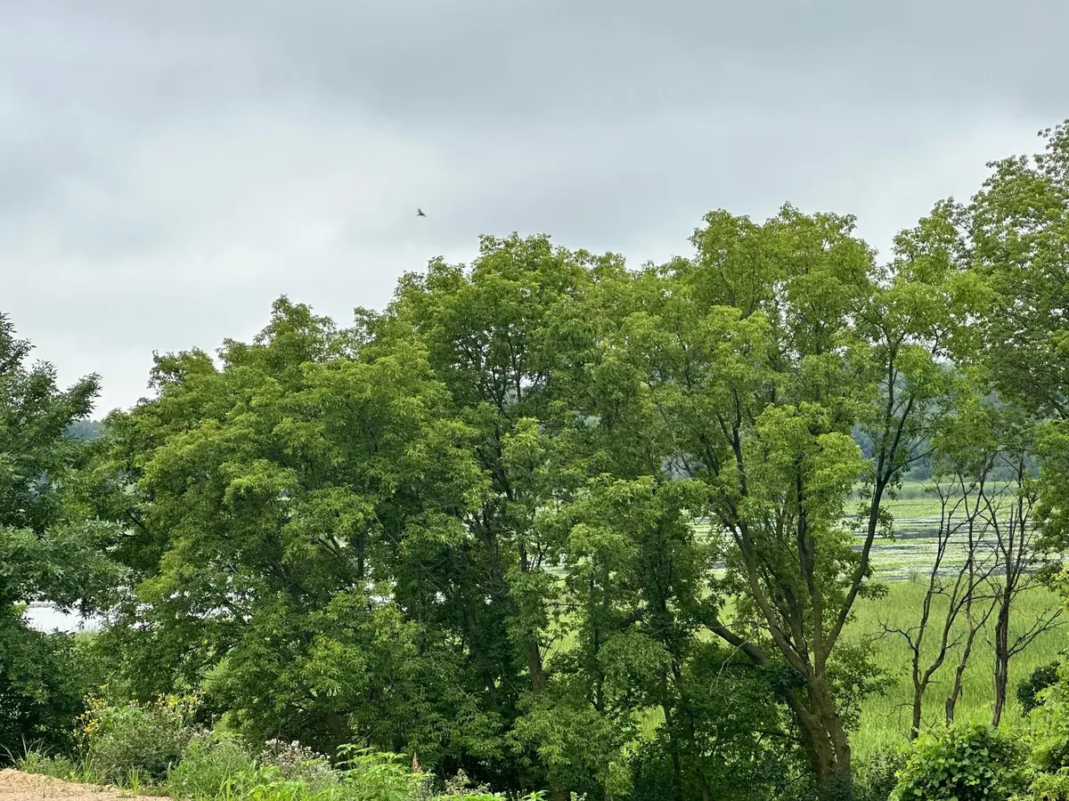 TBD County Road 43, Chaska, MN 55318 - Image #1