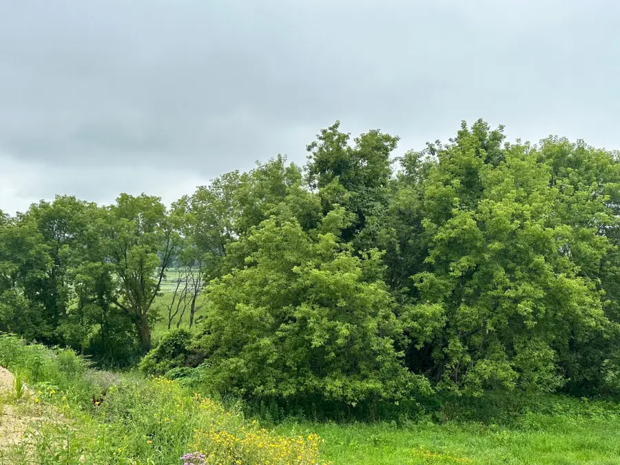 TBD County Road 43, Chaska, MN 55318 - Image #2