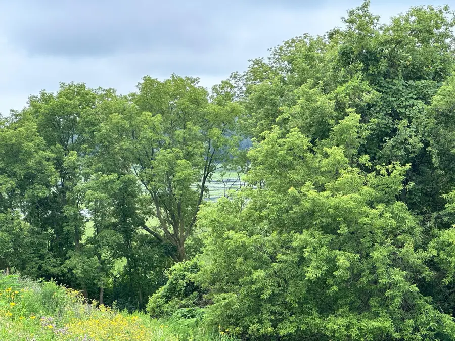 TBD County Road 43, Chaska, MN 55318 - Image #3