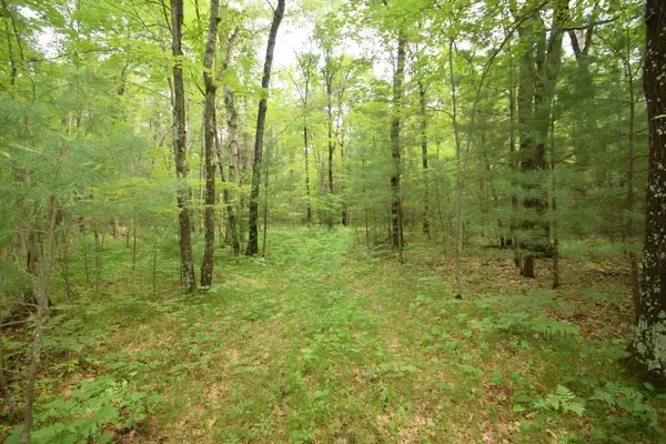 TBD Helsene Road, Webster, WI 54893