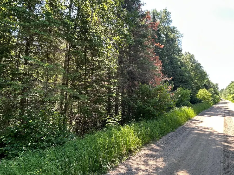 TBD Town Rd 7, Northome, MN 56661 - Image #2