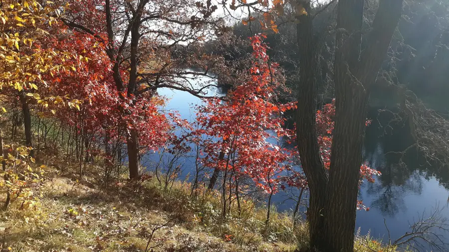 38869 Odin Court, Browerville, MN 56438 - #3