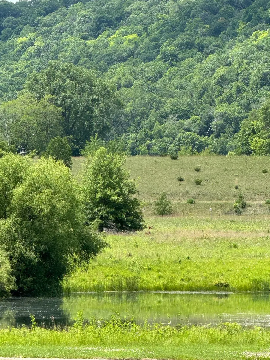 1431 Woodland Way, Lake City, MN 55041 - #3