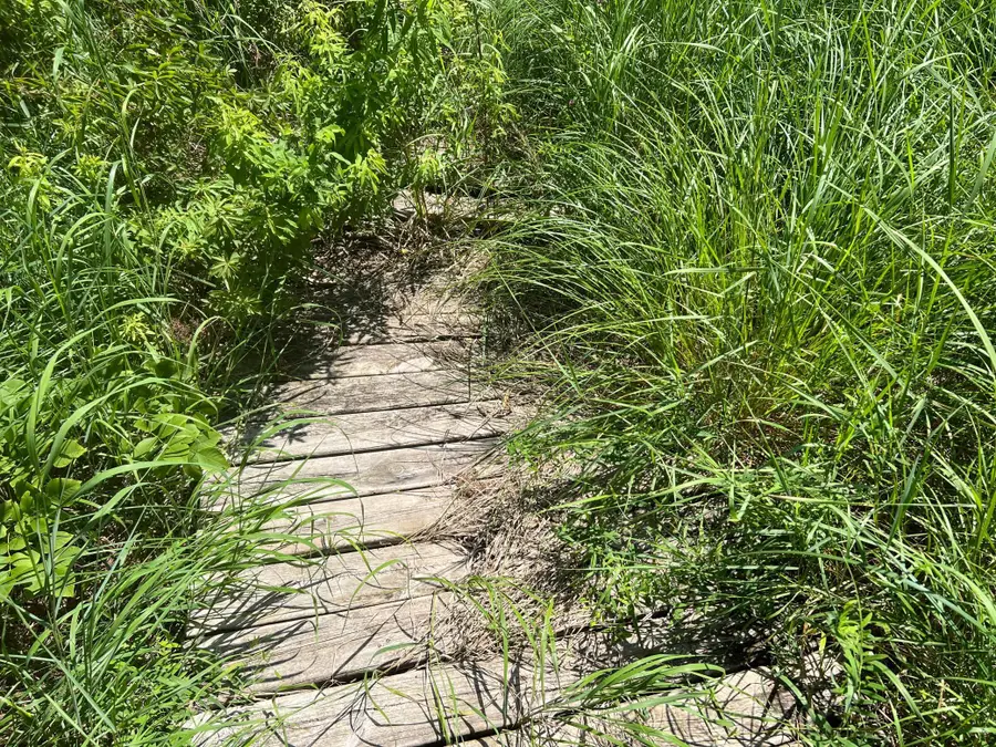 59112 412th Place, Swatara, MN 55785 - Image #3