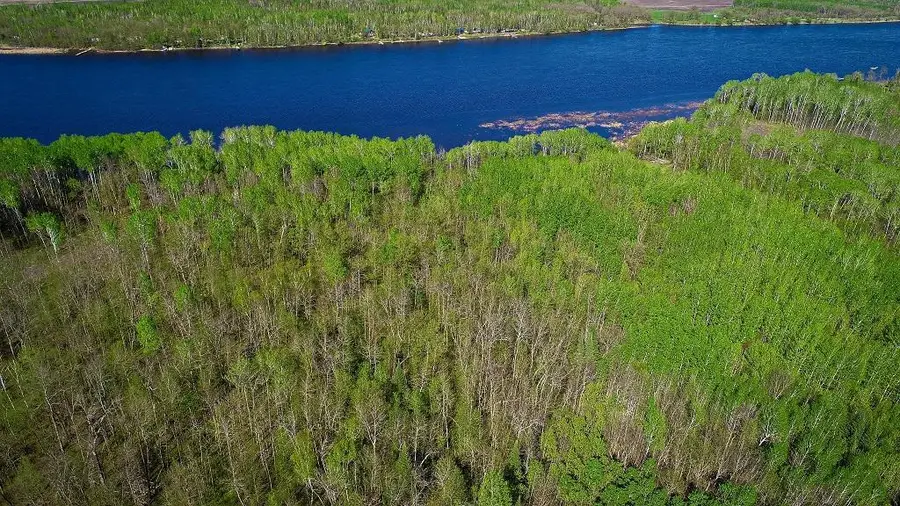 Lot 12 - TBD Driftwood Lane Nw, Baudette, MN 56623 - #3