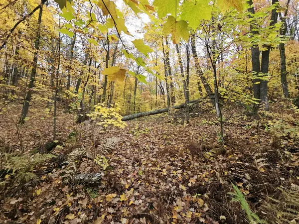 Lot 26 Block 1 Westward Ho, Garrison, MN 56450