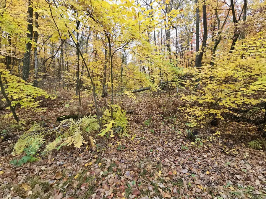 Lot 26 Block 1 Westward Ho, Garrison, MN 56450 - #2