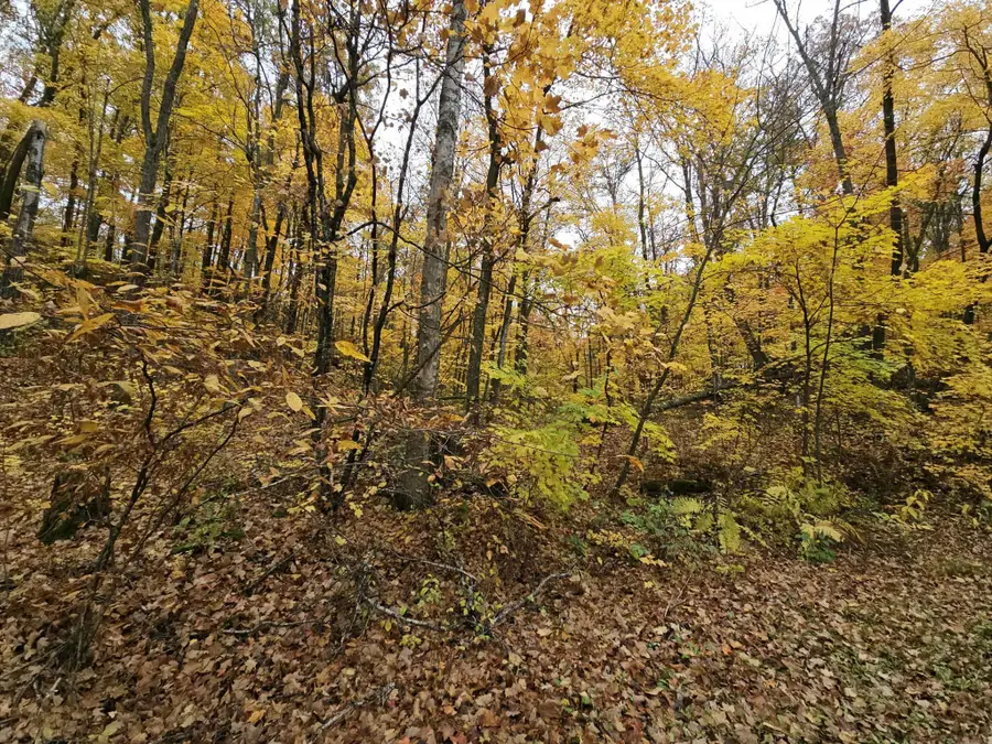 Lot 26 Block 1 Westward Ho, Garrison, MN 56450 - #3