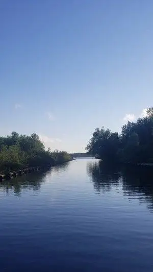 TBD 6 Lake Ave S Avenue, Tower, MN 55790