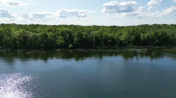 TBD N Moose Lake Road Ne, Pennington, MN 56663