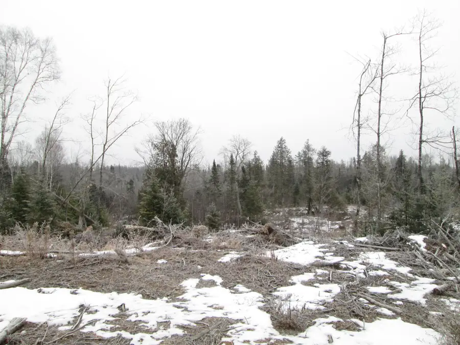 TBD County Rd L, Lot 2, Oakland, WI 54874 - Image #2