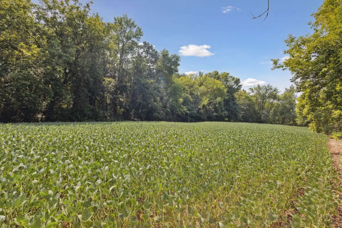 24x1 Holy Name Drive, Medina, MN 55340 - #1