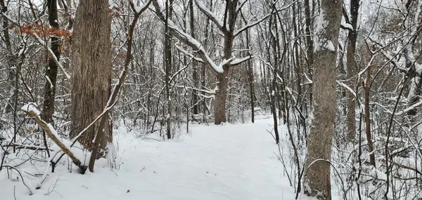 XXXX 50th Street, Somerset, WI 54025