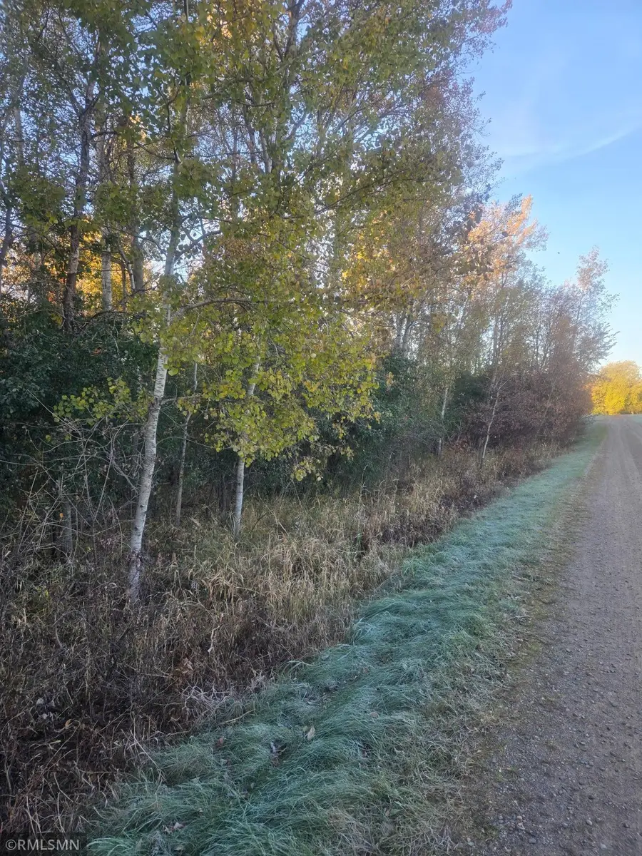 142xx 80th Street Ne, Foley, MN 56329 - #3