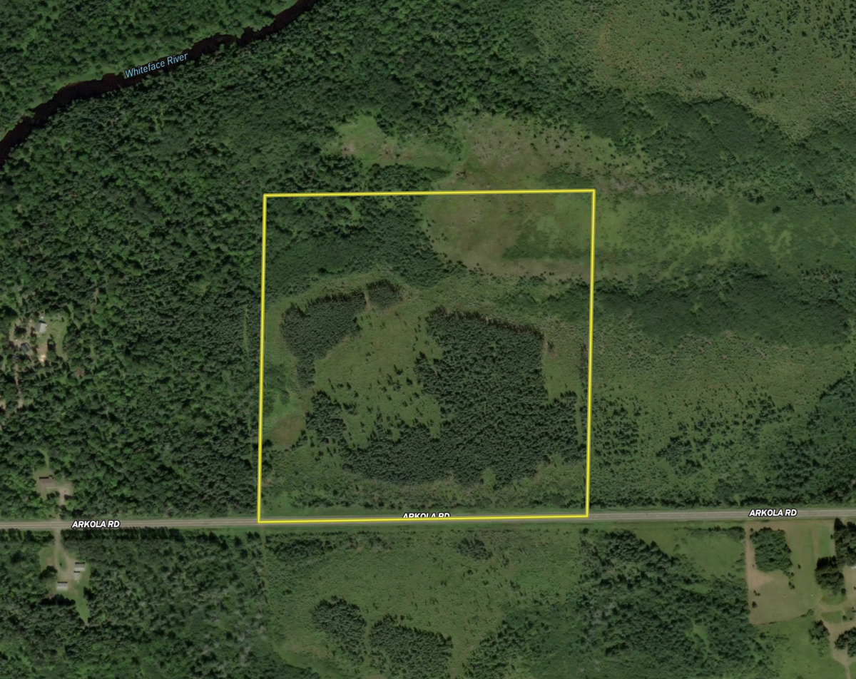 TBD Arkola Rd., Cotton, MN 55724 - #1